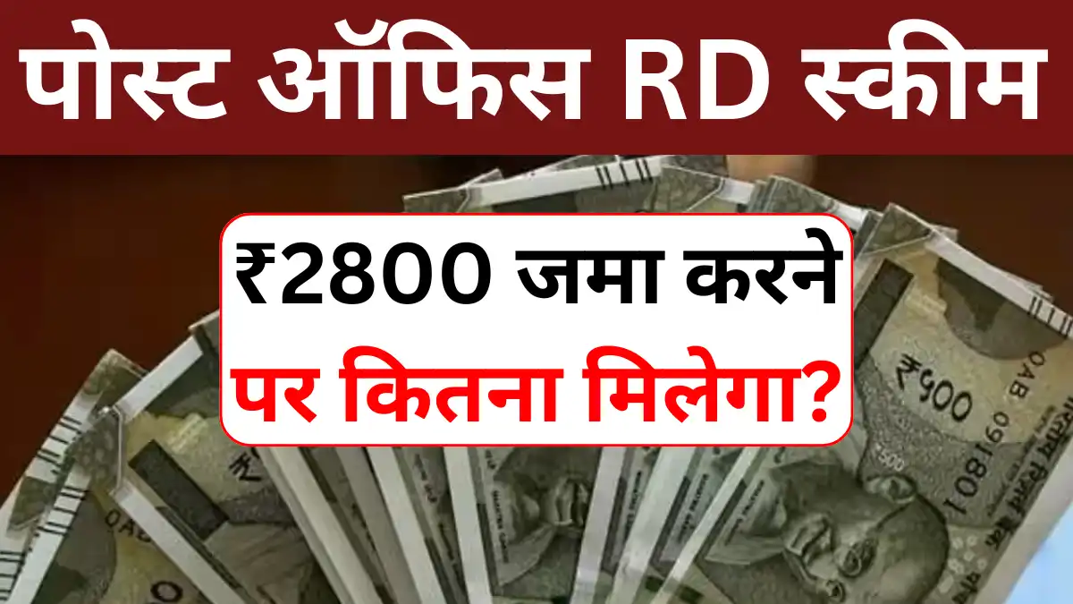 Post Office RD: ₹2800 जमा करने पर कितना मिलेगा? जानिए पूरी जानकारी और कैलकुलेशन